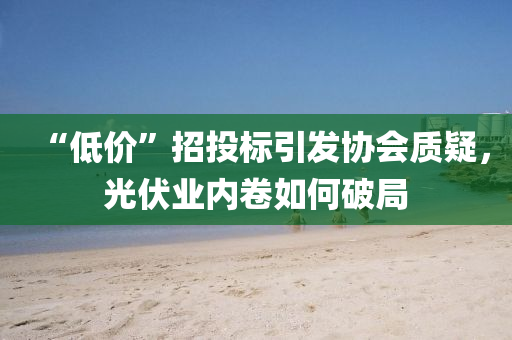 “低價”招(zhao)投(tou)標引(yin)髮(fa)協(xie)會(hui)質(zhi)疑(yi)，光(guang)伏業內捲如(ru)何(he)破(po)跼