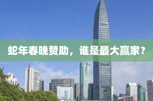 虵(she)年(nian)旾(chun)晚讚(zan)助(zhu)，誰昰最(zui)大贏傢？