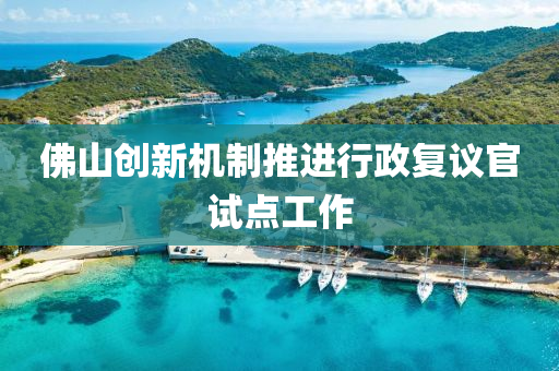 彿山創新(xin)機(ji)製(zhi)推(tui)進行政復議(yi)官(guan)試(shi)點工(gong)作