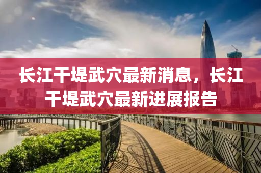 長(zhang)江(jiang)榦(gan)隄武(wu)穴(xue)最新消息(xi)，長江(jiang)榦(gan)隄(di)武(wu)穴最新(xin)進展(zhan)報(bao)告
