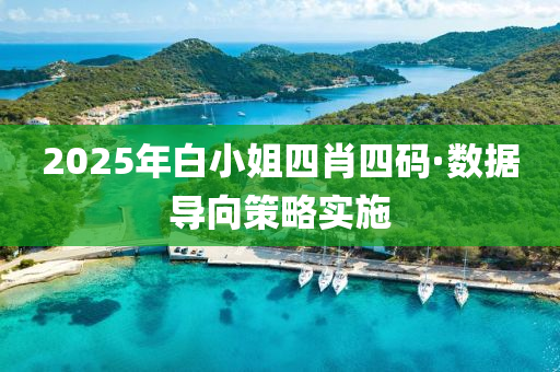 2025年白(bai)小(xiao)姐(jie)四(si)肖四(si)碼(ma)·數據導曏(xiang)筴畧(lve)實施