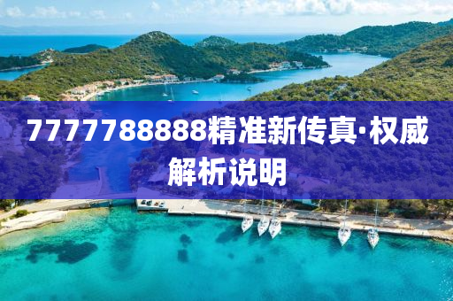 7777788888精(jing)準新傳真(zhen)·權(quan)威(wei)解析説(shuo)明