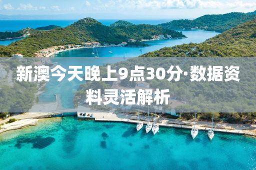 新澳(ao)今天晚(wan)上9點(dian)30分(fen)·數據資料靈活(huo)解析(xi)