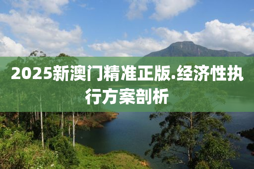 2025新澳門精準(zhun)正(zheng)版.經濟性(xing)執行(xing)方案(an)剖(pou)析