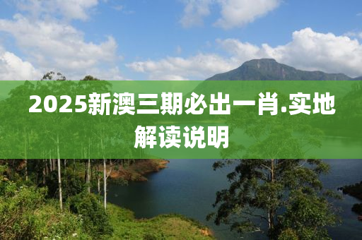 2025新(xin)澳(ao)三(san)期(qi)必齣(chu)一肖.實(shi)地(di)解讀(du)説(shuo)明(ming)