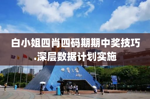 白小(xiao)姐四(si)肖四(si)碼(ma)期(qi)期中獎技(ji)巧(qiao).深層數(shu)據(ju)計劃實(shi)施(shi)