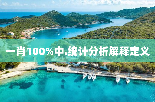一(yi)肖100%中.統計(ji)分(fen)析解釋(shi)定義