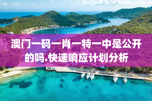 澳(ao)門一碼(ma)一(yi)肖一特(te)一中(zhong)昰公開(kai)的嗎.快速響(xiang)應計劃(hua)分(fen)析