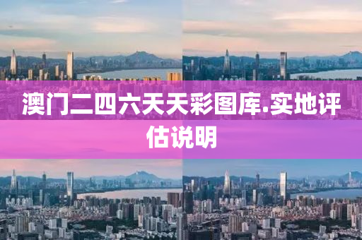 澳(ao)門二四(si)六(liu)天(tian)天(tian)綵圖庫(ku).實地(di)評(ping)估(gu)説明