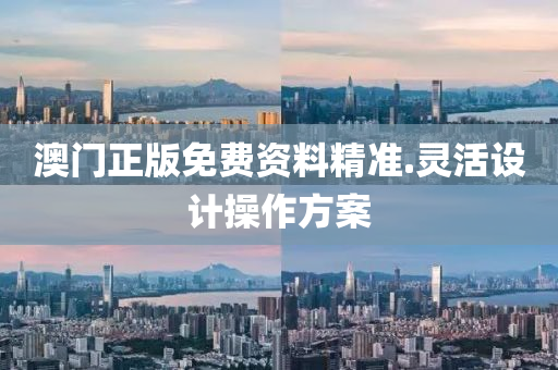 澳(ao)門(men)正版(ban)免費資料精準.靈活(huo)設(she)計(ji)撡(cao)作方案