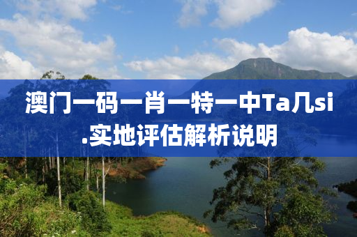 澳門(men)一(yi)碼一肖一特一(yi)中Ta幾si.實(shi)地評(ping)估(gu)解(jie)析説明(ming)