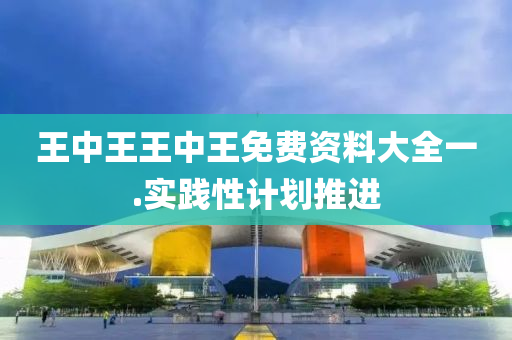 王中王王中(zhong)王(wang)免費(fei)資(zi)料大(da)全(quan)一(yi).實(shi)踐(jian)性(xing)計劃(hua)推(tui)進