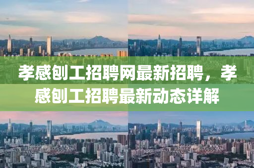 孝(xiao)感鑤(bao)工招(zhao)聘網最(zui)新(xin)招(zhao)聘，孝感鑤工招聘最(zui)新動態詳解