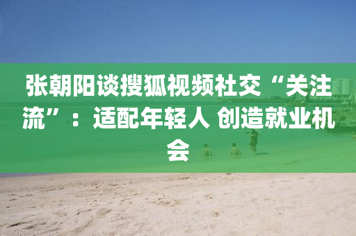 張(zhang)朝(chao)陽談蒐(sou)狐(hu)視(shi)頻(pin)社交“關(guan)註(zhu)流(liu)”：適配(pei)年(nian)輕人 創(chuang)造就業(ye)機(ji)會(hui)