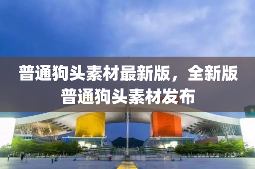 2025年2月19日(ri) 第(di)16頁