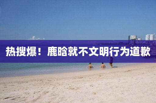熱蒐爆(bao)！鹿晗(han)就(jiu)不(bu)文明(ming)行(xing)爲(wei)道(dao)歉