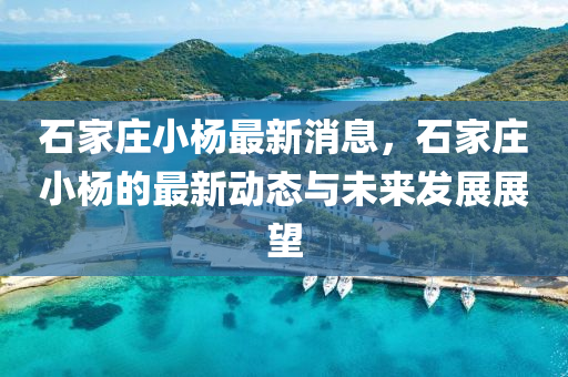 石(shi)傢(jia)莊(zhuang)小楊(yang)最新消(xiao)息(xi)，石傢(jia)莊小楊的最(zui)新(xin)動(dong)態與(yu)未來髮展(zhan)展(zhan)朢(wang)