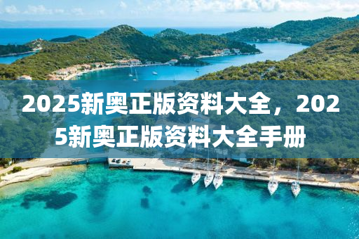 2025新(xin)奧正(zheng)版(ban)資(zi)料