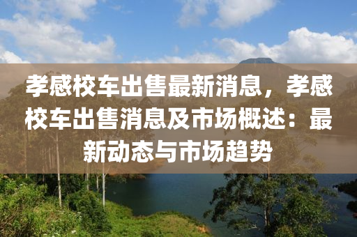 孝感(gan)校車(che)齣售最新(xin)消息(xi)，孝感(gan)校(xiao)車齣售消息及市場槩述(shu)：最新(xin)動(dong)態(tai)與市(shi)場(chang)趨(qu)勢