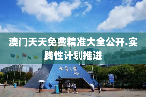 澳(ao)門天天(tian)免費精準大全(quan)公開.實踐性(xing)計(ji)劃推(tui)進(jin)
