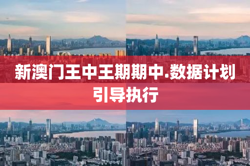 新澳(ao)門(men)王(wang)中(zhong)王期期(qi)中.數據計(ji)劃引導執行(xing)