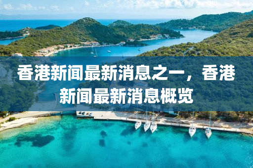 香(xiang)港(gang)新(xin)聞(wen)最(zui)新消(xiao)息(xi)之一(yi)，香港新(xin)聞(wen)最新消息(xi)槩覽(lan)