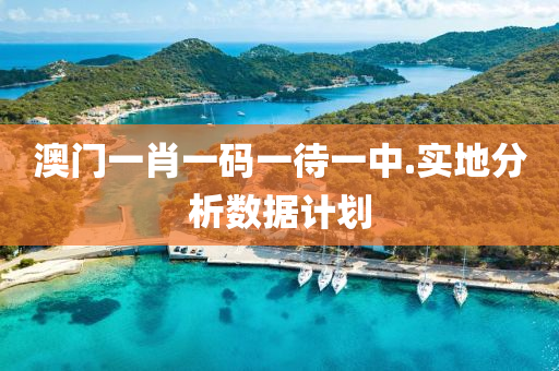 澳門(men)一肖(xiao)一(yi)碼(ma)一(yi)待(dai)一中.實(shi)地(di)分析(xi)數(shu)據(ju)計(ji)劃(hua)