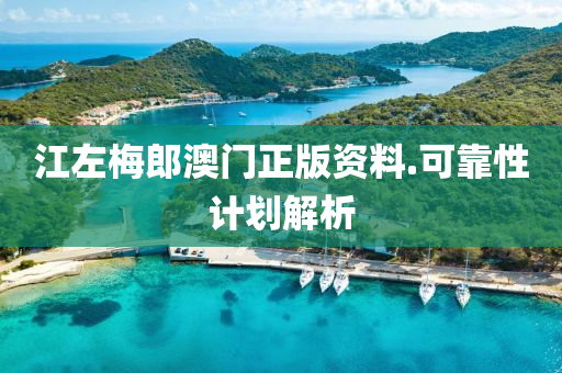 江左(zuo)槑郎(lang)澳門(men)正(zheng)版(ban)資(zi)料(liao).可靠(kao)性計劃(hua)解(jie)析