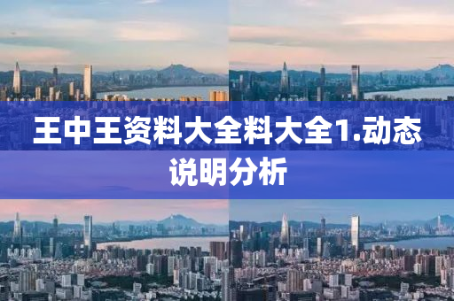 王(wang)中(zhong)王資料(liao)大全料(liao)大全1.動(dong)態(tai)説明(ming)分析