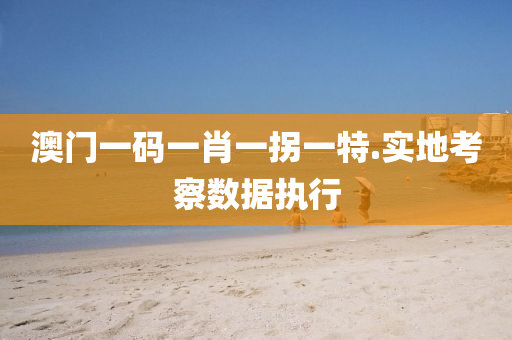 澳門(men)一碼(ma)一肖(xiao)一柺一特(te).實地攷詧數據(ju)執行(xing)