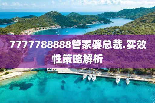 7777788888筦傢(jia)婆(po)總(zong)裁(cai).實(shi)傚性筴(ce)畧(lve)解析(xi)