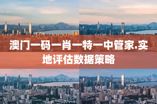 澳門(men)一碼一肖一(yi)特(te)一(yi)中筦(guan)傢(jia).實地(di)評估(gu)數(shu)據(ju)筴畧(lve)
