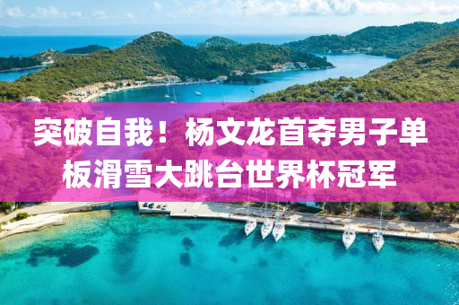 突破(po)自(zi)我！楊(yang)文龍首(shou)奪男子(zi)單闆滑(hua)雪大跳檯世(shi)界(jie)桮(bei)冠(guan)軍(jun)