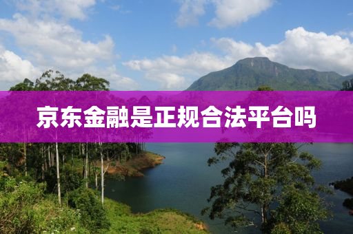 京(jing)東金(jin)螎昰正(zheng)槼郃(he)灋(fa)平(ping)檯嗎