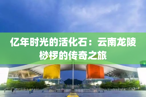 億年(nian)時光(guang)的活(huo)化石：雲南(nan)龍(long)陵(ling)桫(suo)欏(luo)的(de)傳(chuan)奇之旅(lv)