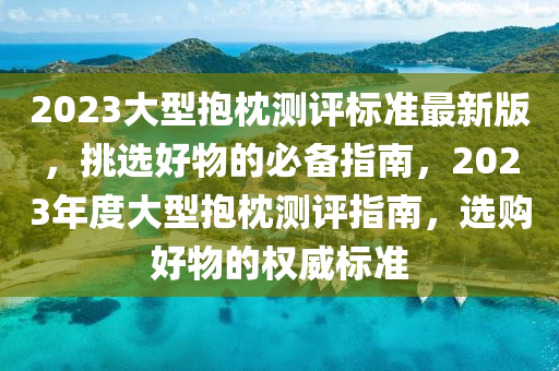 2023大型(xing)抱枕測評標(biao)準最(zui)新版，挑(tiao)選(xuan)好(hao)物的(de)必(bi)備指南(nan)，2023年度大型抱(bao)枕測評(ping)指南(nan)，選(xuan)購好物的(de)權(quan)威標(biao)準