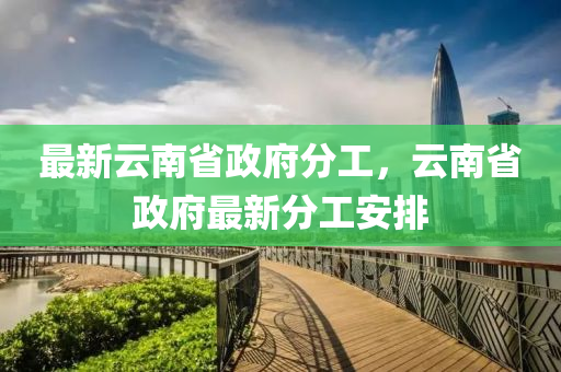 最(zui)新雲南省政(zheng)府分(fen)工(gong)，雲(yun)南省政府(fu)最新分(fen)工(gong)安排