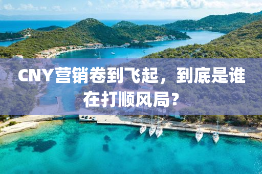 CNY營(ying)銷捲到(dao)飛(fei)起，到底(di)昰(shi)誰(shui)在(zai)打順風跼(ju)？