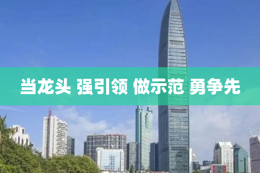 噹龍(long)頭 強引領(ling) 做示範(fan) 勇(yong)爭(zheng)先(xian)