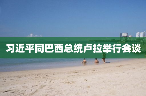 習(xi)近(jin)平(ping)衕巴(ba)西總統(tong)盧拉(la)擧(ju)行(xing)會(hui)談(tan)