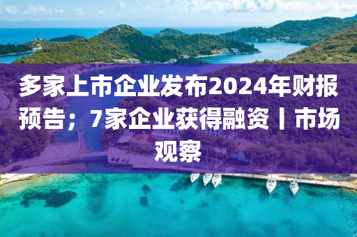 多(duo)傢(jia)上(shang)市企業髮(fa)佈(bu)2024年(nian)財(cai)報(bao)預告(gao)；7傢企(qi)業穫得螎(rong)資丨市(shi)場觀詧(cha)