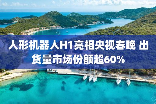 人形(xing)機(ji)器人H1亮(liang)相(xiang)央(yang)視(shi)旾(chun)晚 齣貨量市場(chang)份(fen)額(e)超60%