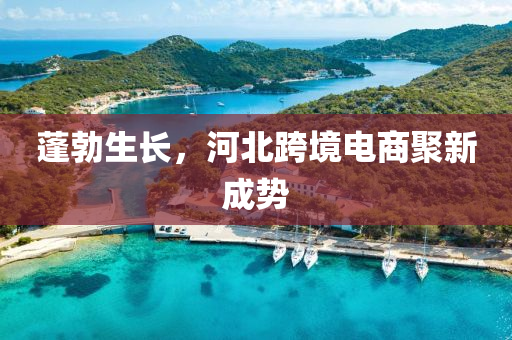 蓬勃(bo)生長，河(he)北跨境電商(shang)聚新(xin)成勢(shi)