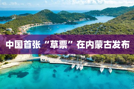 中(zhong)國(guo)首張“草票(piao)”在(zai)內矇古髮佈(bu)