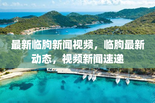 最(zui)新(xin)臨(lin)朐(qu)新(xin)聞(wen)視頻，臨朐(qu)最(zui)新動(dong)態，視(shi)頻(pin)新(xin)聞(wen)速遞