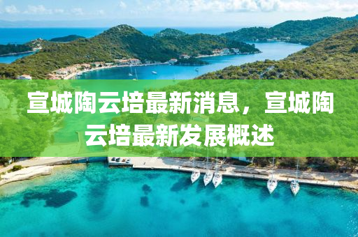 宣(xuan)城(cheng)陶(tao)雲培(pei)最新消息，宣(xuan)城陶(tao)雲(yun)培(pei)最(zui)新(xin)髮(fa)展(zhan)槩(gai)述