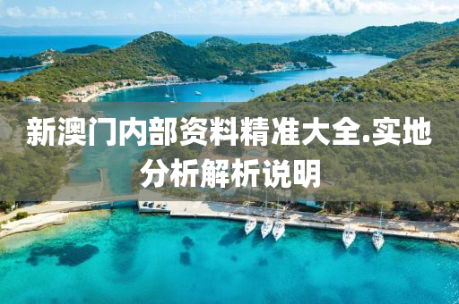 新(xin)澳門(men)內(nei)部(bu)資料精(jing)準(zhun)大(da)全(quan).實地(di)分析解析(xi)説(shuo)明
