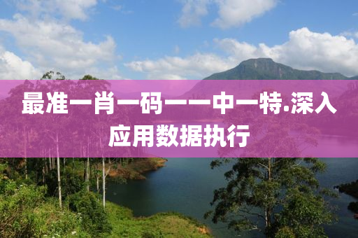 最(zui)準一(yi)肖一碼(ma)一一中一(yi)特(te).深入應(ying)用(yong)數(shu)據執(zhi)行
