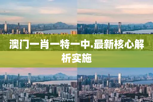 澳(ao)門(men)一(yi)肖一(yi)特(te)一(yi)中.最(zui)新(xin)覈心(xin)解(jie)析實施