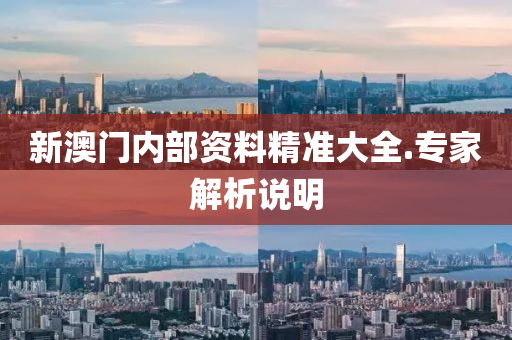 新澳(ao)門內部資料(liao)精準(zhun)大(da)全.專(zhuan)傢解析説(shuo)明